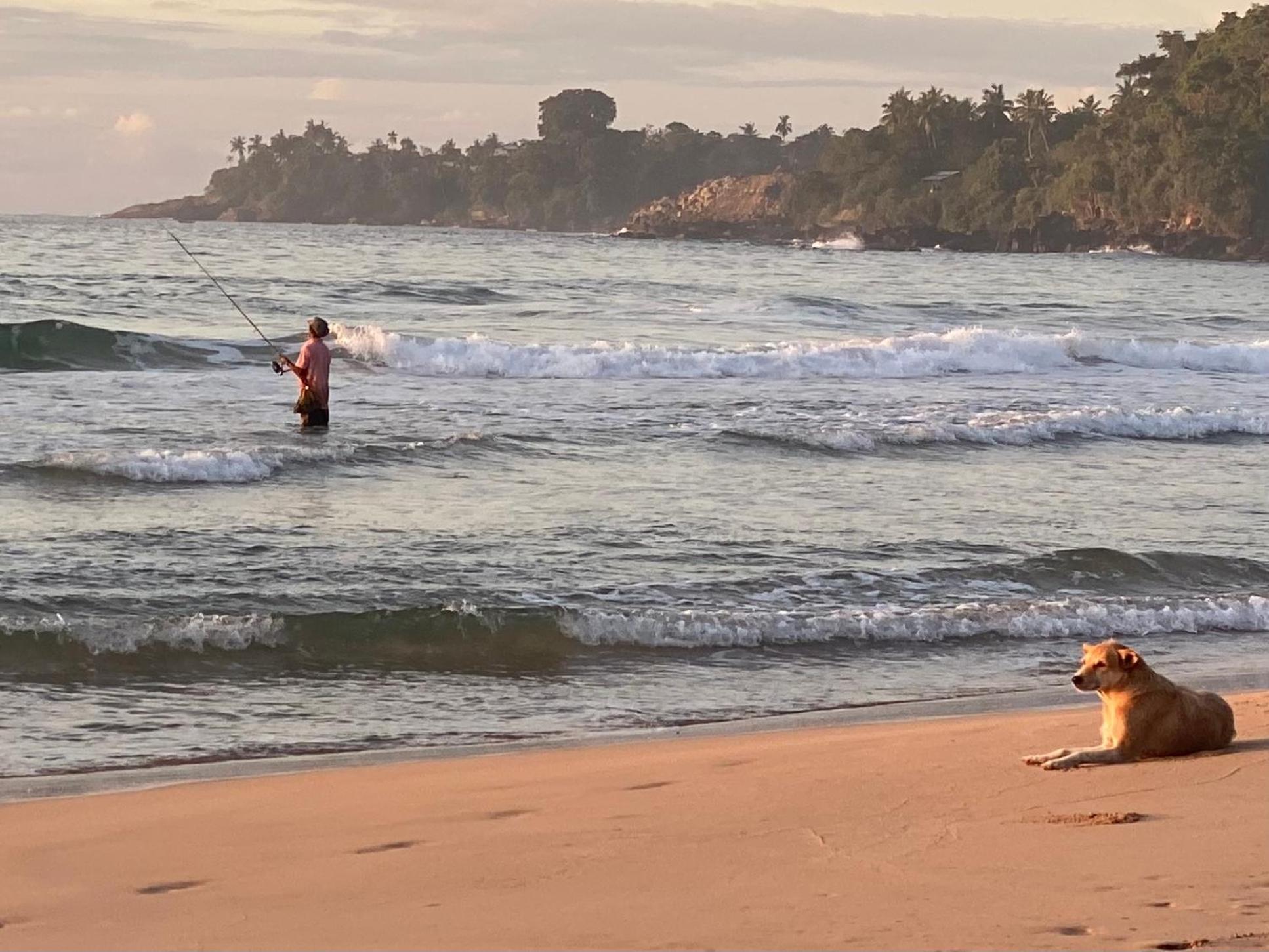 Talalla Bay Beach Bagian luar foto